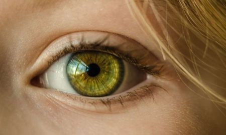 اخبار,اخبار پزشکی,ارتباط حس بینایی و لامسه اخبار,اخبار پزشکی,ارتباط حس بینایی و لامسه