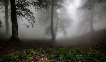 اخبار,اخبار حوادث,عملیات جستجو و نجات سها رضانژاد اخبار,اخبار حوادث,عملیات جستجو و نجات سها رضانژاد