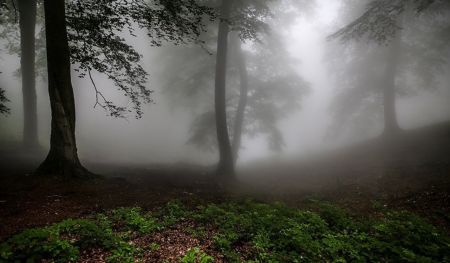 اخبار,اخبار حوادث,عملیات جستجو و نجات سها رضانژاد