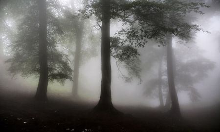 اخبار,اخبار حوادث,عملیات جستجو و نجات سها رضانژاد اخبار,اخبار حوادث,عملیات جستجو و نجات سها رضانژاد