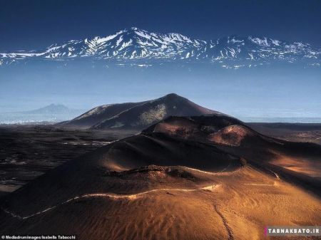 اخبارگوناگون,خبرهای گوناگون ,صحنههای شگفتانگیز اخبارگوناگون,خبرهای گوناگون ,صحنههای شگفتانگیز