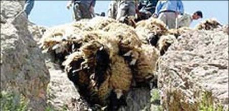 اخبارگوناگون,خبرهای گوناگون , مرگ های اسرارآمیز اخبارگوناگون,خبرهای گوناگون , مرگ های اسرارآمیز