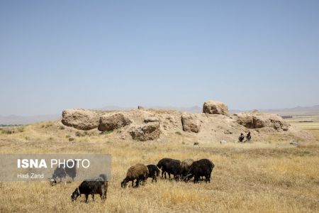  اخبارگوناگون,خبرهای گوناگون , فلات مرکزی ایران