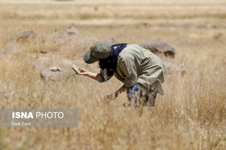  اخبارگوناگون,خبرهای گوناگون , فلات مرکزی ایران