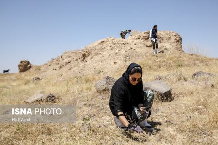  اخبارگوناگون,خبرهای گوناگون , فلات مرکزی ایران