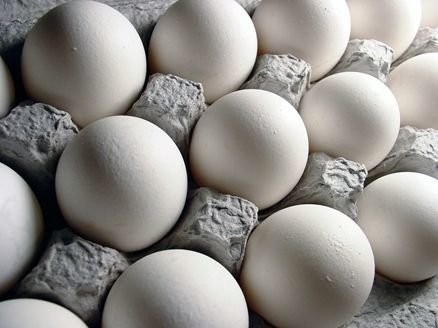 اخباراقتصادی ,خبرهای اقتصادی ,تخم مرغ اخباراقتصادی ,خبرهای اقتصادی,تخم مرغ