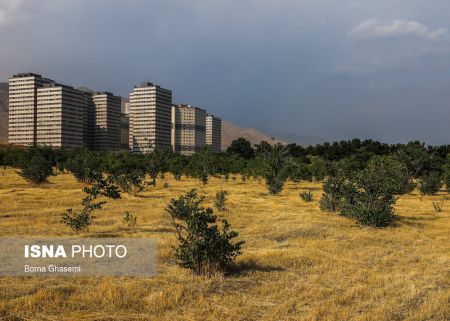  اخبار اجتماعی ,خبرهای اجتماعی, تنفسگاه تهران