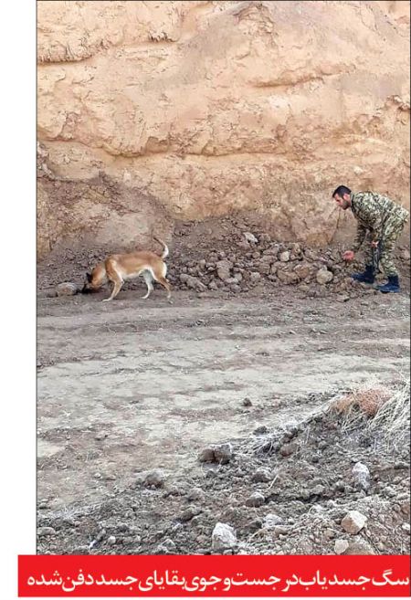 اخبارحوادث,خبرهای حوادث ,حوادث روز اخبار حوادث,خبرهای حوادث ,حوادث روز