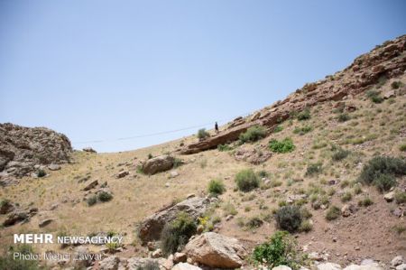 اخبارگوناگون,خبرهای گوناگون ,ورزش هایلاین اخبارگوناگون,خبرهای گوناگون ,ورزش هایلاین