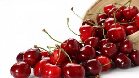اخبار,اخبار پزشکی,آلبالو اخبار,اخبار پزشکی,آلبالو