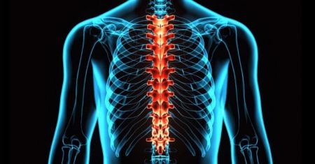 اخبار,اخبار پزشکی,درمان آسیب‌های نخاعی