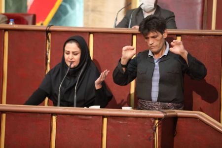 اخبار,اخبار اجتماعی,هلاله امینی
