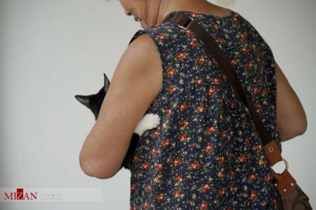 اخبار,اخبار گوناگون,طب سوزنی حیوانات