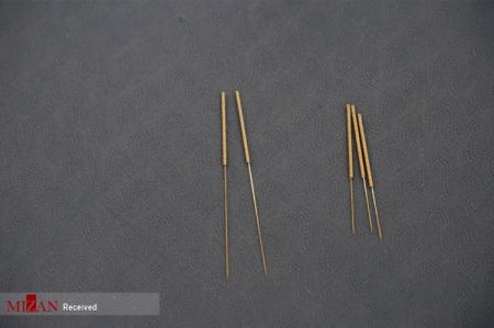 اخبار,اخبار گوناگون,طب سوزنی حیوانات