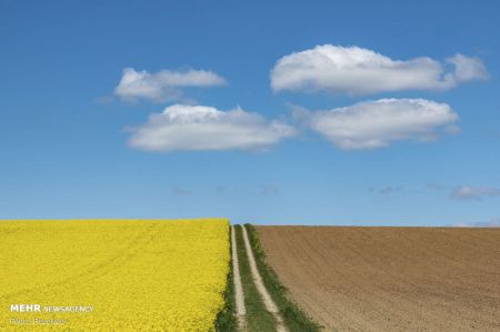  اخبارگوناگون,خبرهای گوناگون ,نقاشی ابرها