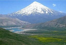 اخباراجتماعی ,خبرهای اجتماعی ,سازمان جنگلها اخبار اجتماعی ,خبرهای اجتماعی,سازمان جنگلها