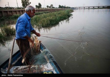  اخبار اجتماعی ,خبرهای اجتماعی,کاشت صیفی جات