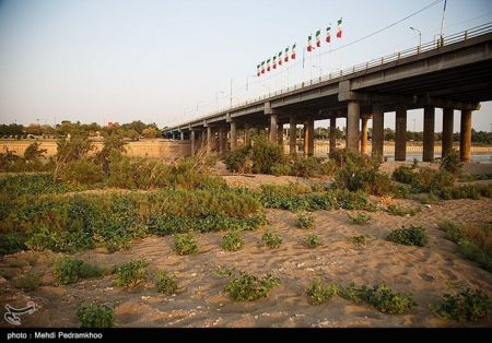 اخباراجتماعی ,خبرهای اجتماعی ,کاشت صیفی جات اخبار اجتماعی ,خبرهای اجتماعی,کاشت صیفی جات