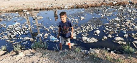 اخبارحوادث,خبرهای حوادث ,حوادث روز اخبار حوادث,خبرهای حوادث ,حوادث روز