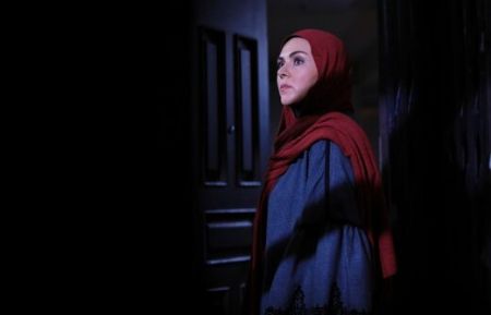 اخبار فرهنگی,خبرهای فرهنگی,شهره سلطانی اخبار فرهنگی,خبرهای فرهنگی,شهره سلطانی