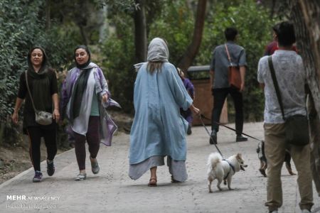 اخبار پزشکی ,خبرهای پزشکی ,کرونا اخبار پزشکی ,خبرهای پزشکی,کرونا