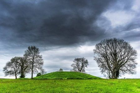 اخبارگوناگون,خبرهای گوناگون , اخبارگوناگون,خبرهای گوناگون ,