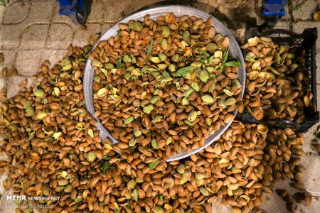 اخبارگوناگون,خبرهای گوناگون ,بادام تکانی اخبارگوناگون,خبرهای گوناگون ,بادام تکانی