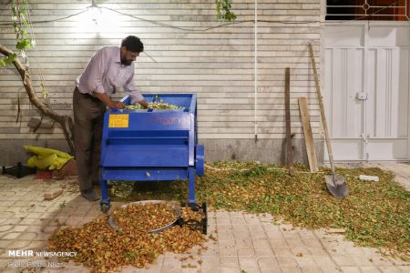  اخبارگوناگون,خبرهای گوناگون ,بادام تکانی