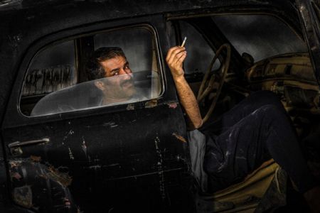 اخبار فرهنگی,خبرهای فرهنگی,دوزیست اخبار فرهنگی,خبرهای فرهنگی,دوزیست