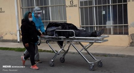 اخباربین الملل ,خبرهای بین الملل ,جسد مشکوک به کرونا اخباربین الملل ,خبرهای بین الملل ,جسد مشکوک به کرونا