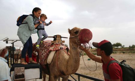 اخبار,اخبار گوناگون,سافاری با شتر و بالن سواری در شهر افسانهای کاپادوکیا اخبار,اخبار گوناگون,سافاری با شتر و بالن سواری در شهر افسانهای کاپادوکیا