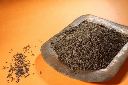 اخبار,اخبار سیاسی,زیره سیاه اخبار,اخبار سیاسی,زیره سیاه