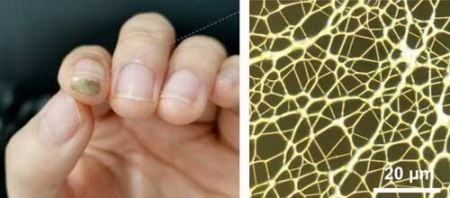 اخبار,اخبار علمی,حسگری برای بررسی حالتهای چهره کاربر اخبار,اخبار علمی,حسگری برای بررسی حالتهای چهره کاربر