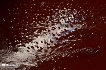 اخباراجتماعی ,خبرهای اجتماعی ,پخت سمنو نذری اخبار اجتماعی ,خبرهای اجتماعی,پخت سمنو نذری
