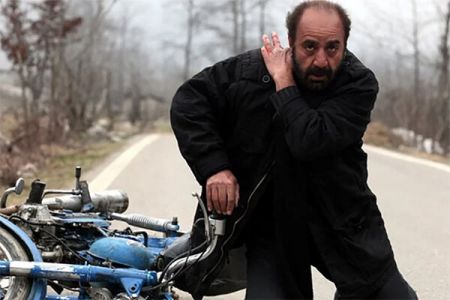 اخبار فرهنگی,خبرهای فرهنگی,خرس اخبار فرهنگی,خبرهای فرهنگی,خرس