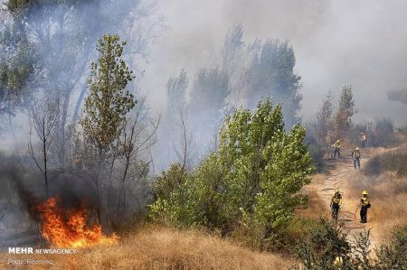 اخبارحوادث,خبرهای حوادث ,حوادث روز اخبار حوادث,خبرهای حوادث ,حوادث روز