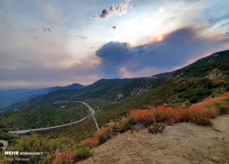 اخبارحوادث,خبرهای حوادث ,حوادث روز اخبار حوادث,خبرهای حوادث ,حوادث روز