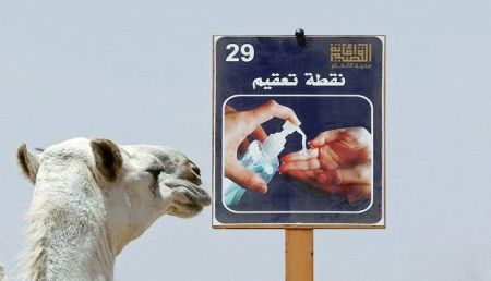 اخبارگوناگون,خبرهای گوناگون ,بیمارستان فوقپیشرفته شترها اخبارگوناگون,خبرهای گوناگون ,بیمارستان فوقپیشرفته شترها
