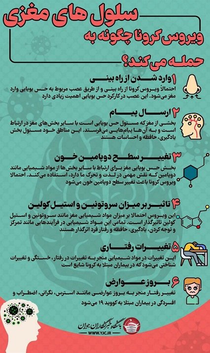 اخبار پزشکی ,خبرهای پزشکی , ویروس کرونا اخبار پزشکی ,خبرهای پزشکی, ویروس کرونا