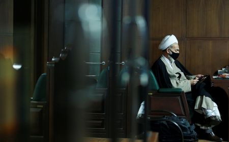  اخبار اجتماعی ,خبرهای اجتماعی,پرونده محمدعلی نجفی