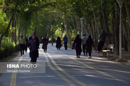  اخبار اجتماعی ,خبرهای اجتماعی, پارک جنگلی  ناژوان