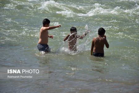 اخباراجتماعی ,خبرهای اجتماعی ,پارک جنگلی ناژوان اخبار اجتماعی ,خبرهای اجتماعی, پارک جنگلی ناژوان