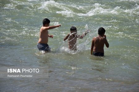  اخبار اجتماعی ,خبرهای اجتماعی, پارک جنگلی  ناژوان