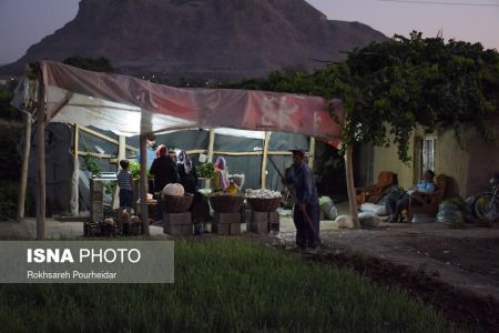  اخبار اجتماعی ,خبرهای اجتماعی, پارک جنگلی  ناژوان