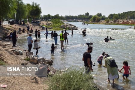  اخبار اجتماعی ,خبرهای اجتماعی, پارک جنگلی  ناژوان