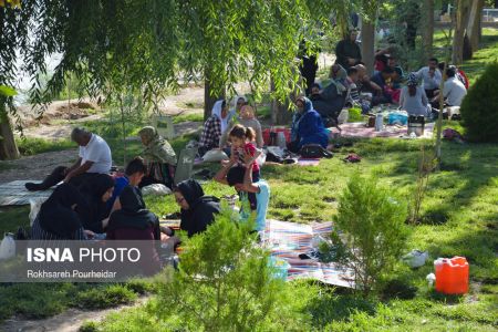 اخباراجتماعی ,خبرهای اجتماعی ,پارک جنگلی ناژوان اخبار اجتماعی ,خبرهای اجتماعی, پارک جنگلی ناژوان