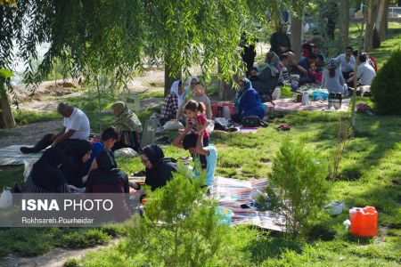  اخبار اجتماعی ,خبرهای اجتماعی, پارک جنگلی  ناژوان