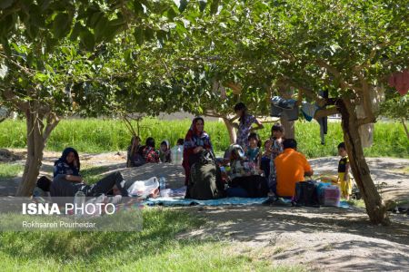 اخباراجتماعی ,خبرهای اجتماعی ,پارک جنگلی ناژوان اخبار اجتماعی ,خبرهای اجتماعی, پارک جنگلی ناژوان