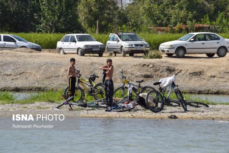 اخباراجتماعی ,خبرهای اجتماعی ,پارک جنگلی ناژوان اخبار اجتماعی ,خبرهای اجتماعی, پارک جنگلی ناژوان