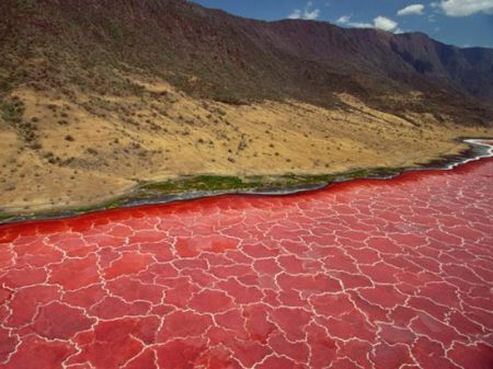 اخبارگوناگون,خبرهای گوناگون ,مکانهایی بسیار بینظیر اخبارگوناگون,خبرهای گوناگون ,مکانهایی بسیار بینظیر